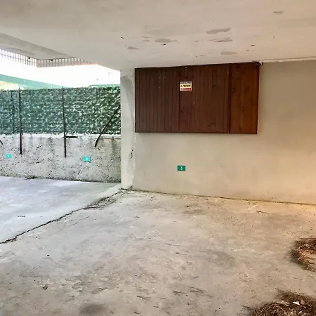 Fulvia * ביביונה